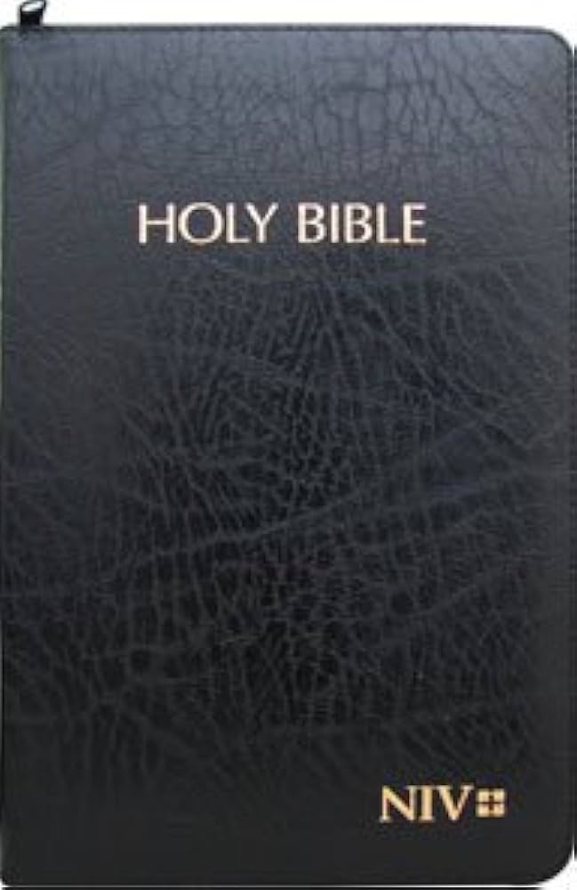 BA Bibles – Holy Bible NIV Black With a Zip