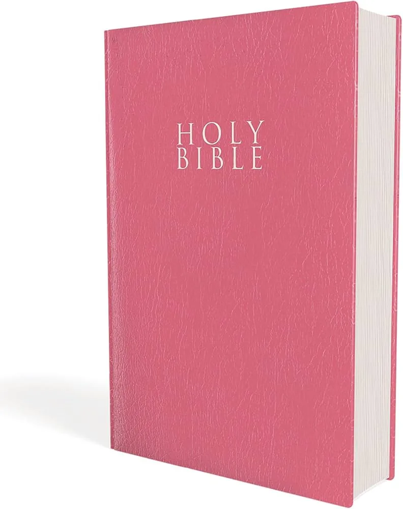 Bibles – NIV Holy Bible Pink Big